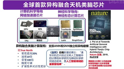 从类脑计算到机器学习 四大知名AI教授线上分享干货，引领计算机软硬件开发新趋势